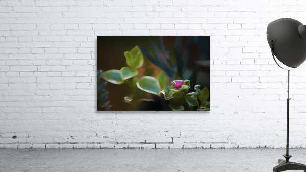 Misty Wall Preview