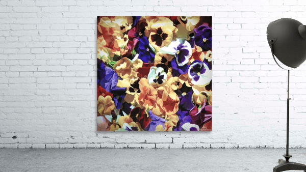 Muted Pansy s Wall Preview