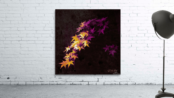 Just Cuz Wall Preview