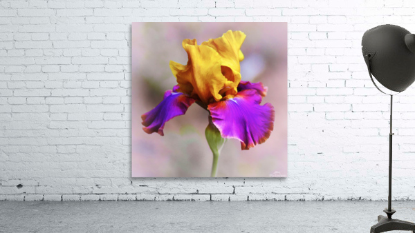 Last Bloom Wall Preview