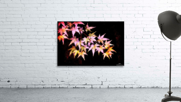 japanese maple leaves Wall Preview