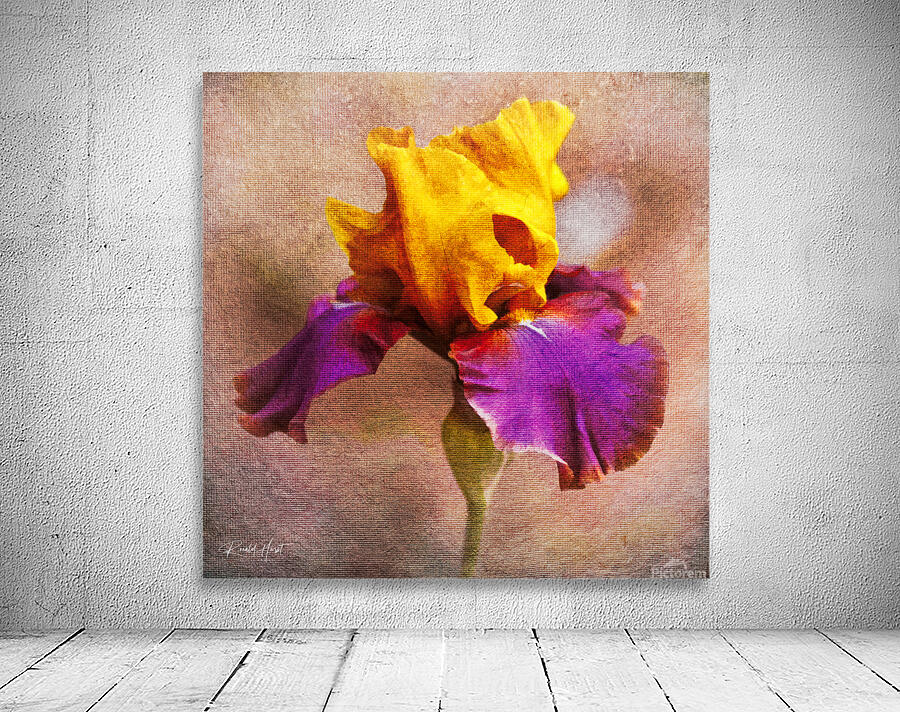Last Bloom on Canvas Wall Preview
