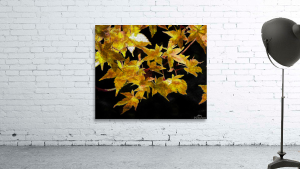 Autumn s Touch Wall Preview