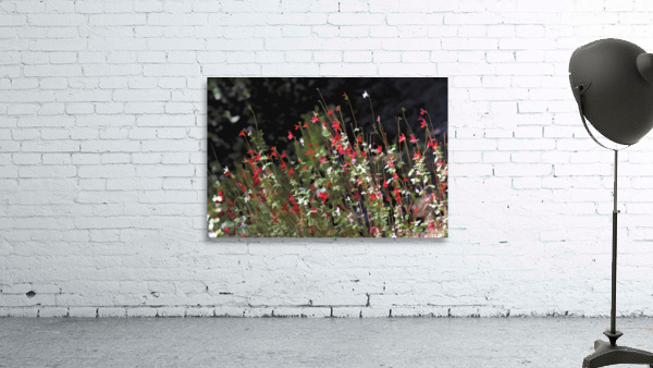 Painted Hot Lips Wall Preview
