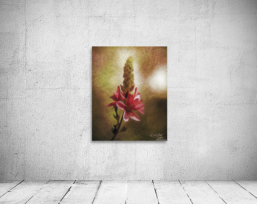 Wild Flower Wall Preview