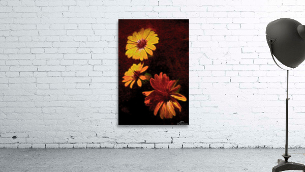 Bold and Beautiful Wall Preview