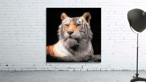 Tiger Wall Preview