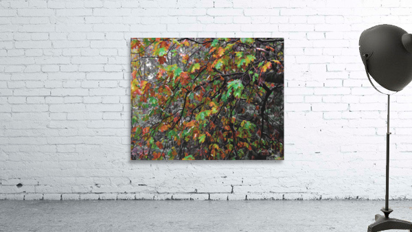 Fall Oak Leaves Wall Preview
