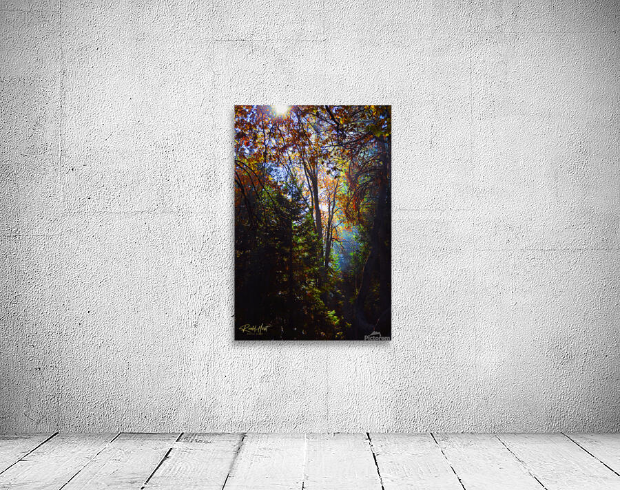 Forest Light Wall Preview