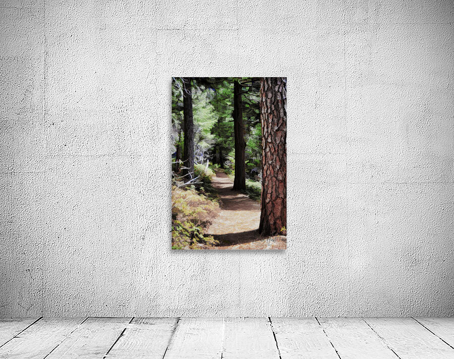 Hikers Trail Painted Wall Preview