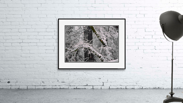 Ice Cold Wall Preview