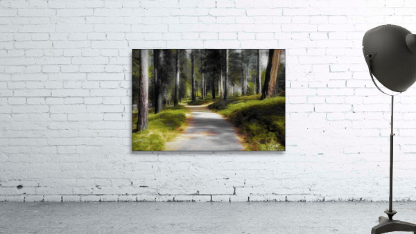 Headed Home Wall Preview