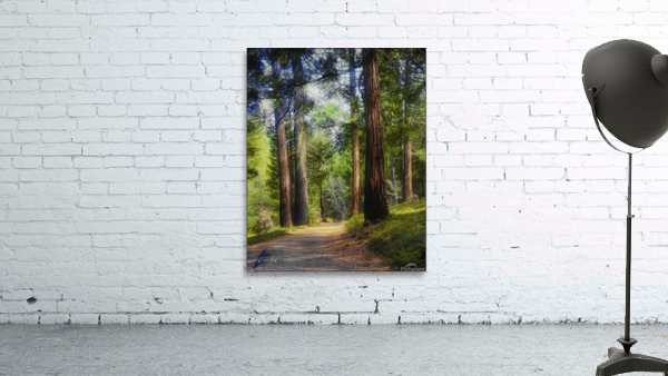 Uphill Path Wall Preview