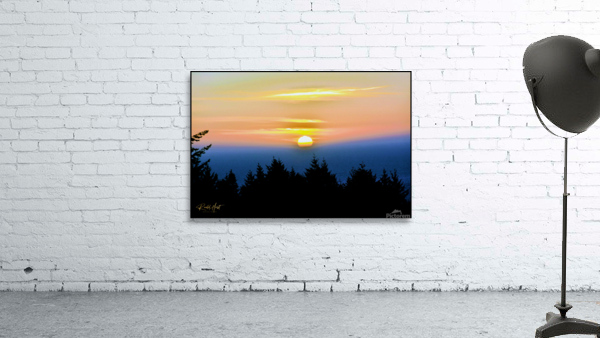 Timber Cove Sunset Wall Preview