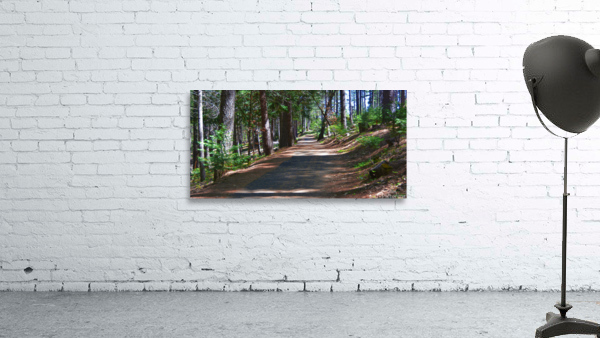 Cedar Trail wide Wall Preview