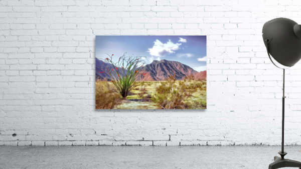 Borrego Wall Preview
