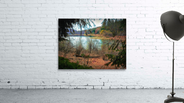 Fall 2020 Wall Preview
