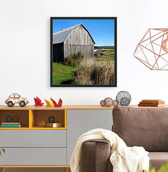 Cattle barn, Penobsquis, NB, Oct. 6, 2013 by Doug McQuinn