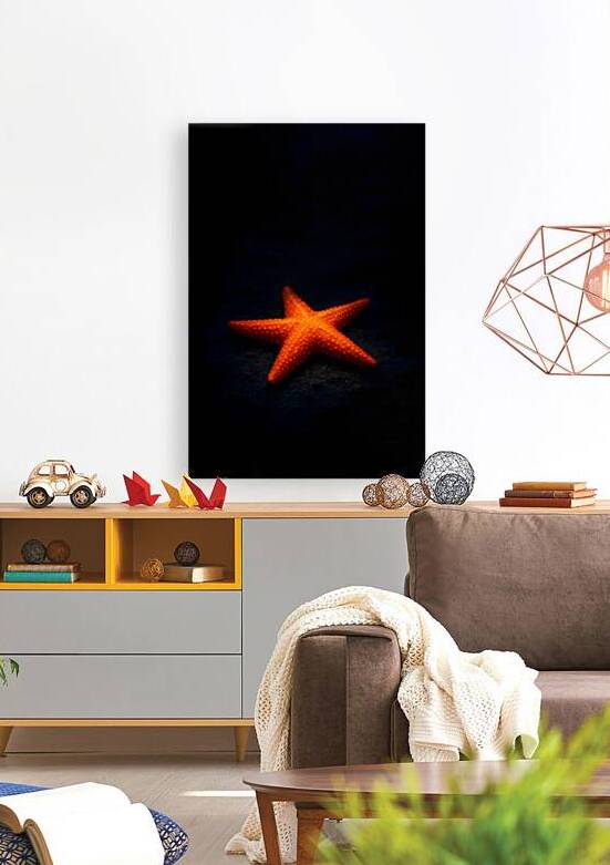 Radiant Sea Creature Vivid Orange Starfish on Midnight Sand by Aaron Potts