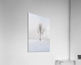 DL100203 38 Acrylic Print