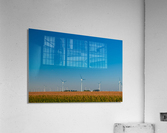 DL100823 008 Acrylic Print