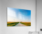 DL100823 054 Acrylic Print