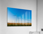 DL100823 029 Acrylic Print