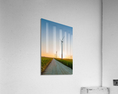 DL100823 109 Acrylic Print