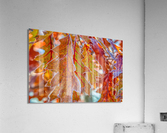 DL101103 149a Acrylic Print