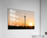 DL100823 133 Acrylic Print