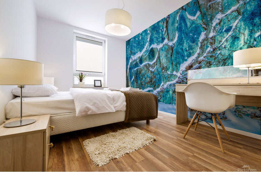 DL100203 15b Mural print