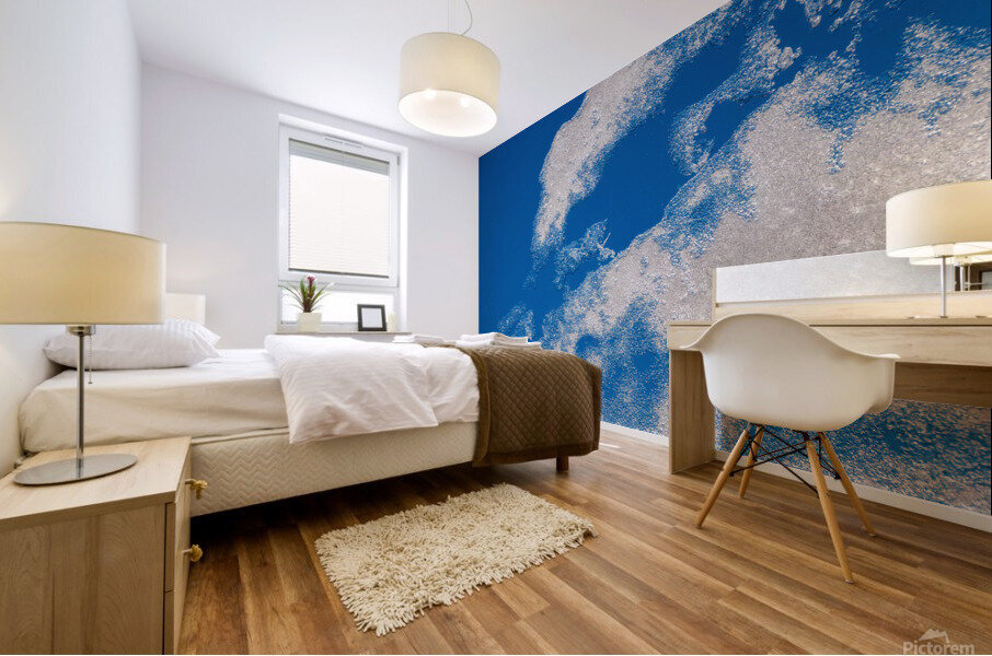 DL100130 14a Mural print