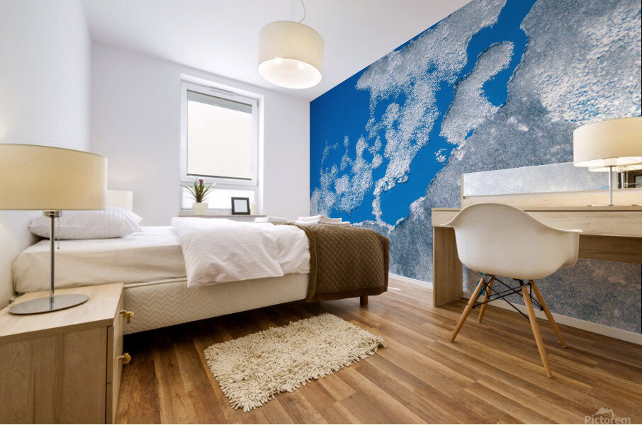 DL100130 1 Mural print