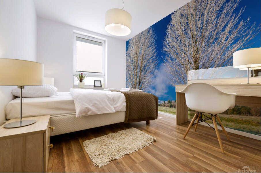 DL101103 301 Mural print