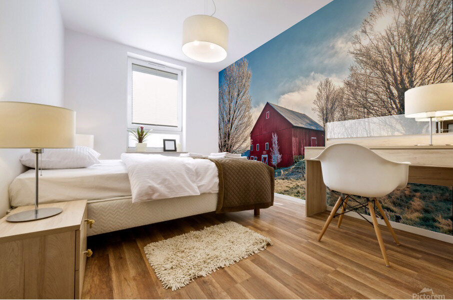 DL101103 313a Mural print