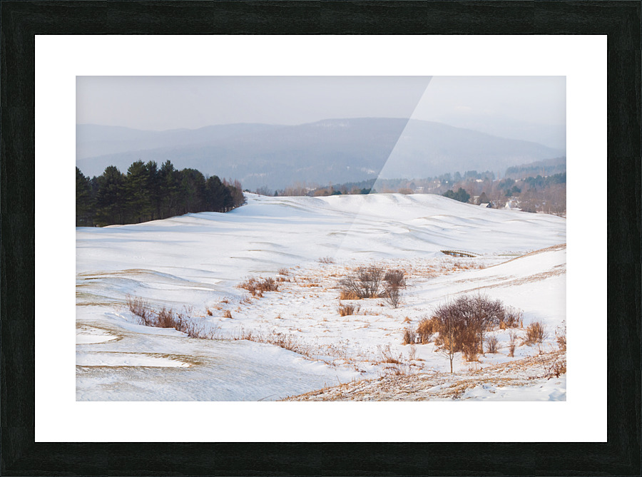 DL100203 18 Picture Frame print