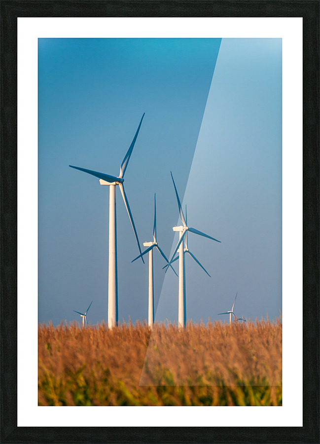 DL100823 018 Picture Frame print