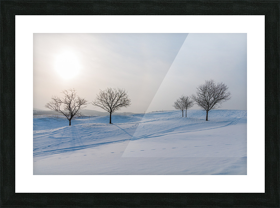 DL100203 07 Picture Frame print