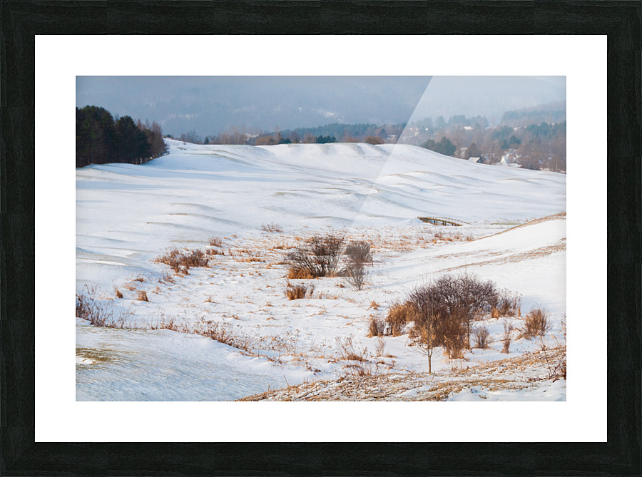 DL100203 17 Picture Frame print