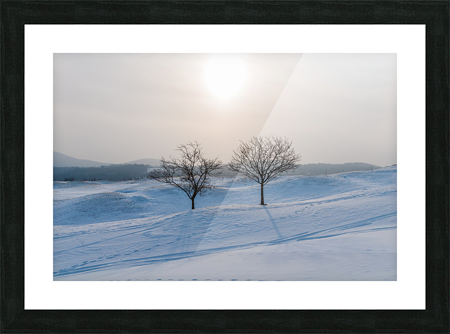 DL100203 03 Picture Frame print