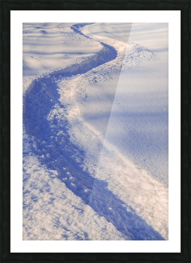 B08814a Picture Frame print