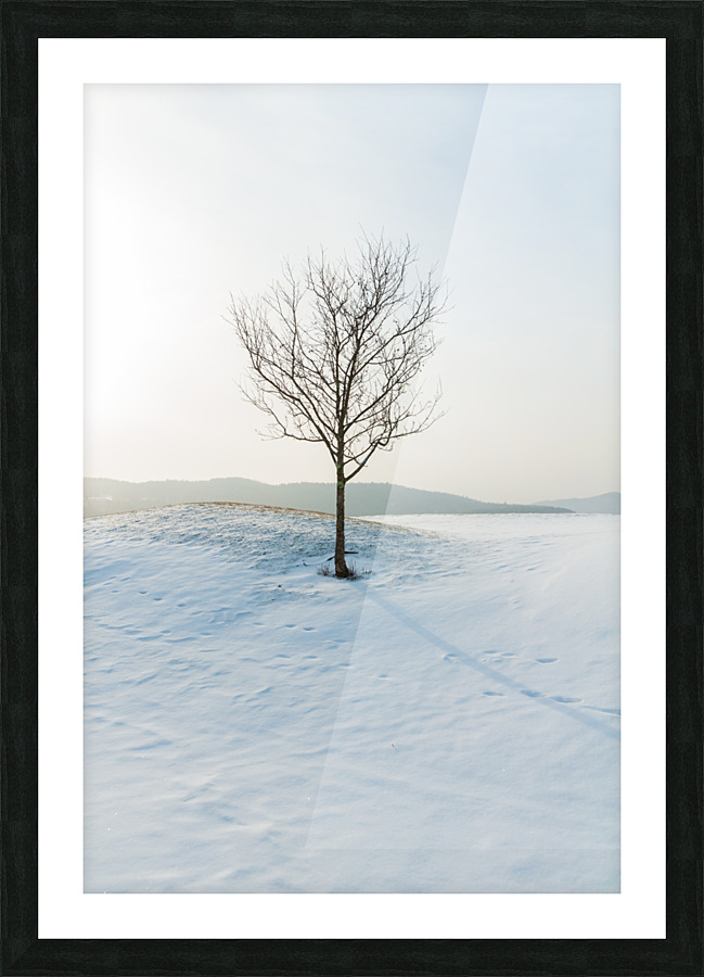 DL100203 40 Picture Frame print