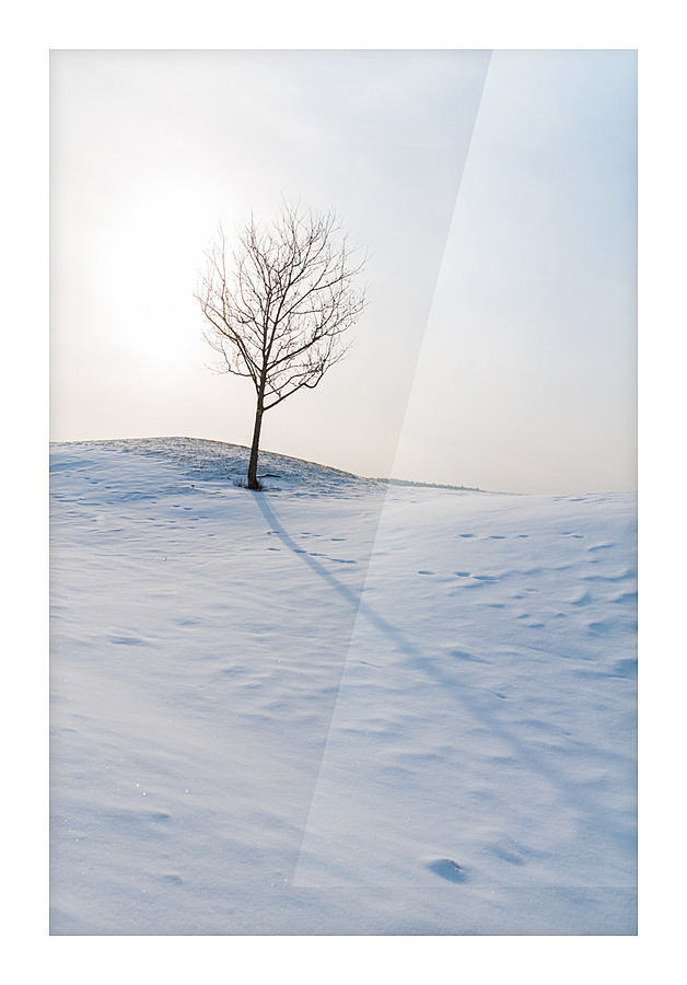 DL100203 44 Picture Frame print
