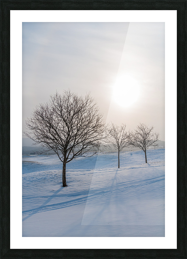 DL100203 12 Picture Frame print