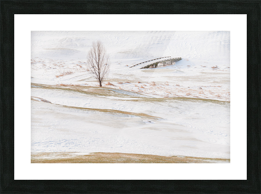 DL100203 30 Picture Frame print