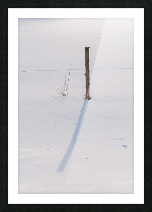 DL100203 51 Picture Frame print