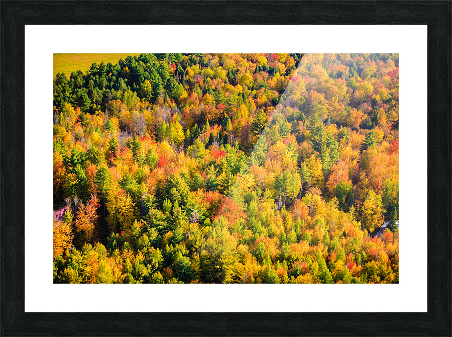 DL031010 005a Picture Frame print
