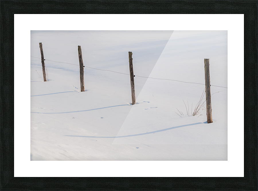 DL100203 49 Picture Frame print