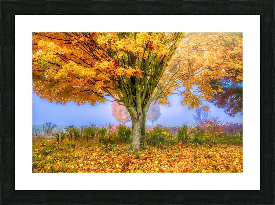 DL031012 39c Picture Frame print