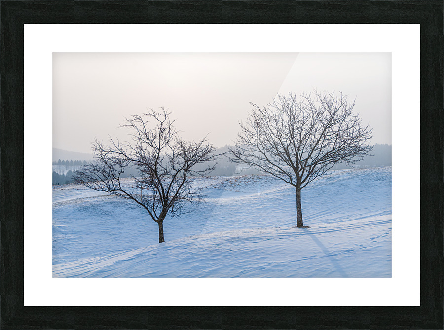 DL100203 01 Picture Frame print